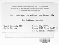 Image Associated With the Occurence